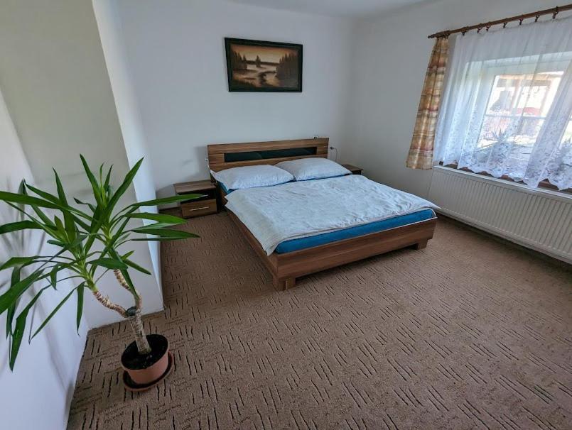Dvougeneracni Dum Se Zahradou Apartment *